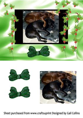 Puppy Love
