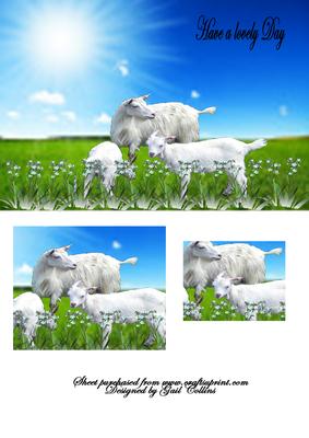 Goats in the Meadow