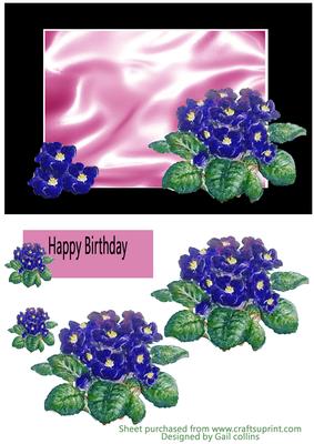 African Violets