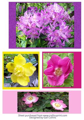 Flower Toppers Mixed
