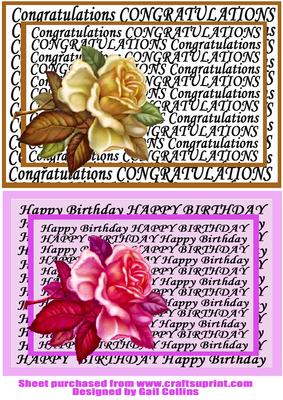 Birthday and Anniversary Roses