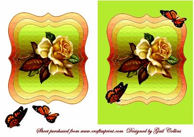 Butterflys and Roses