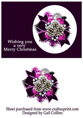 Chrismas Fir Cones