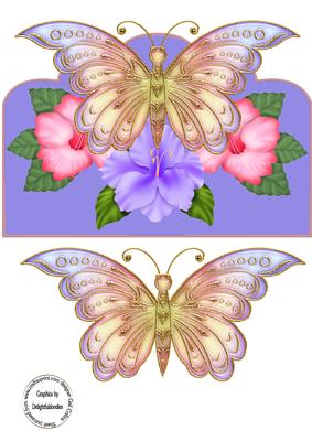 Butterfly Beauty
