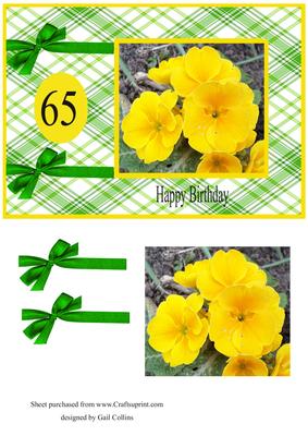 Yellow Primrose