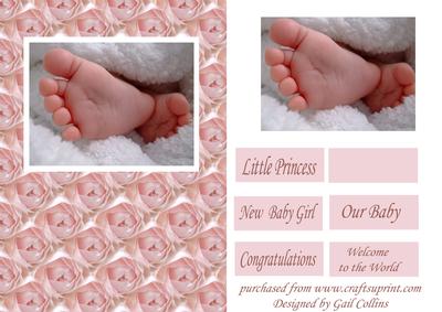 New Baby Girl