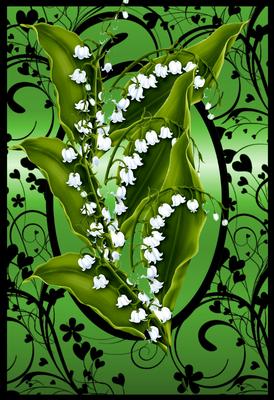 Lilly of the Vally