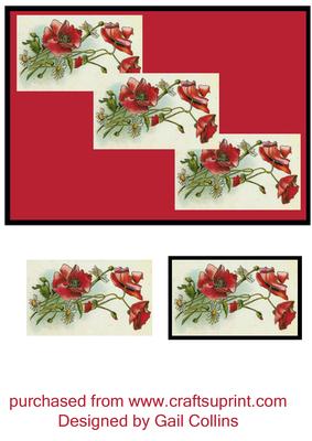 Poppies 3