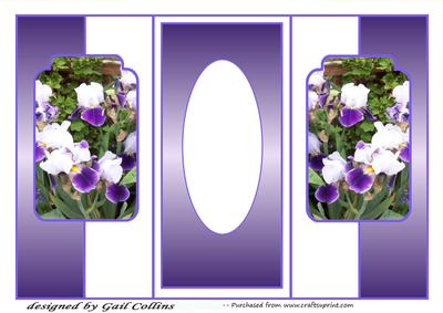 Bearded Iris