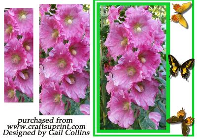 My Garden Hollyhocks