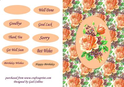 Vintage Roses Peach
