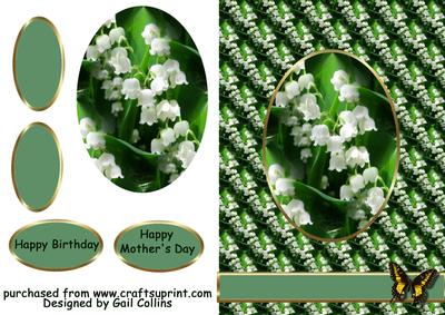 Lilly of the Valley