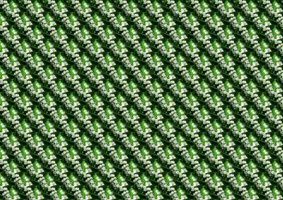 Lilly of the Vally Backing Sheet