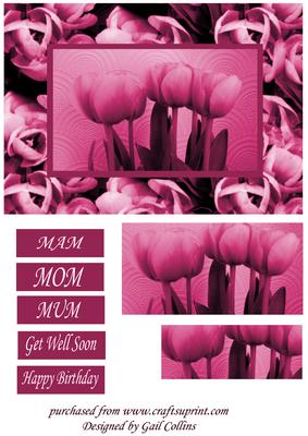 Tulips