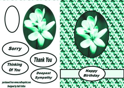 Floral Card Mint
