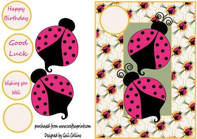 Lady Bird Lady Bird Fly Away Home