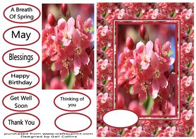 Blossoms