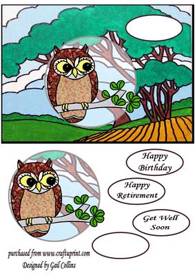 Owl in the Country
