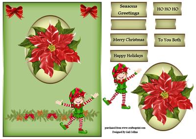 Poinsettia