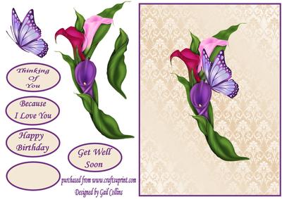 Symplicity Card No 1