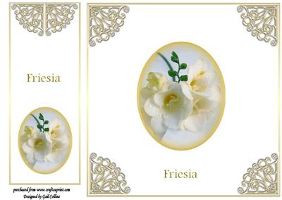 Friesia