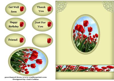 Tulips for You