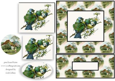 Birds in the Country