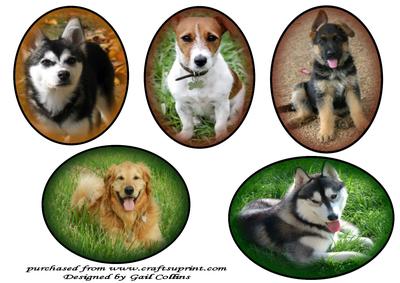 Dog Toppers No 1