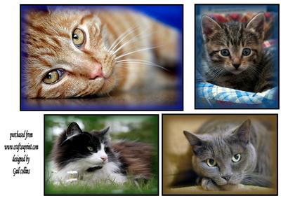 Cat Toppers No 2
