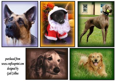 Dog Toppers No 2