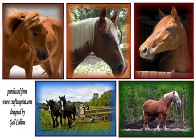 Horse Toppers No 1