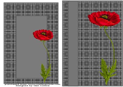 Poppy on Tartan