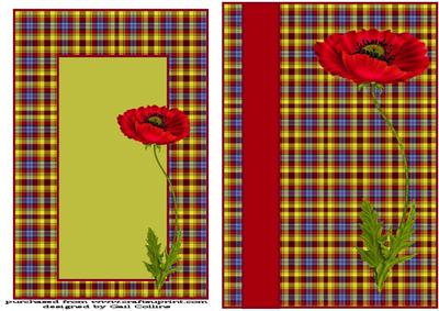 Poppy on Tartan 2