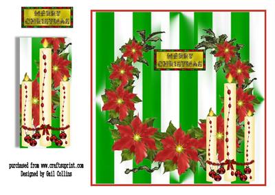 Christmas Flowers