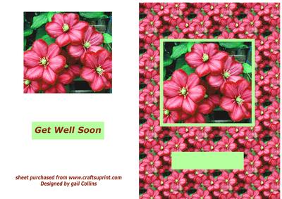 Get Well Clematis