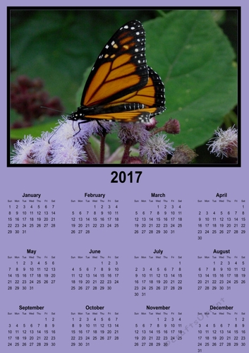 Butterfly calender