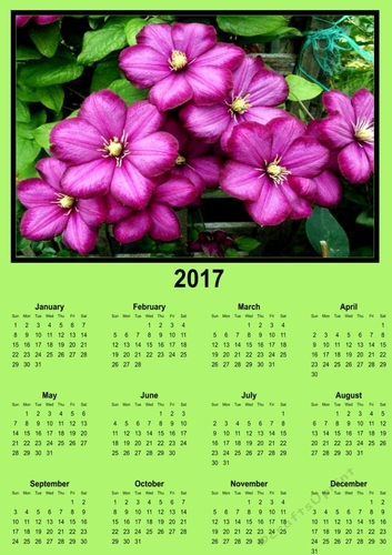 clematis green