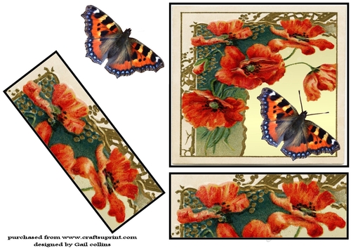 Tortoiseshell butterfly and poppies 