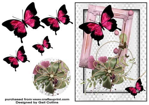 butterfly Beauty