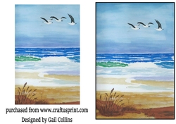 3 Gulls