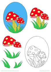 Mushrooms 2