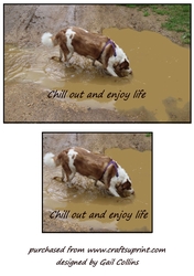 enjoy life