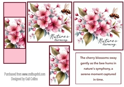 Cherry Blossoms