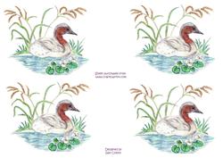 Hand-drawn Duck (grebe) 2