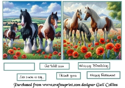 Horses ,ponies