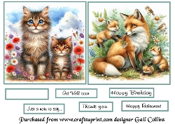 Animals and nature