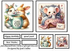two cards for the price of one 