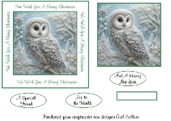 pearly owl 4