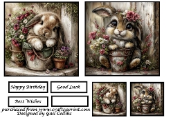 Cute little Bunnies