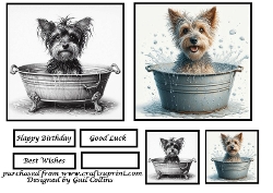 Dogs in the Bath